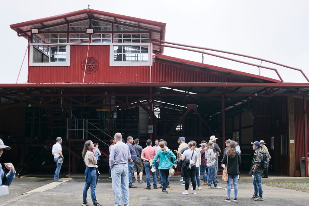 convertidas_249_FNLFNL-1024x683